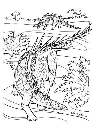 Kentrosaurus Stegosaurid Jurassic Dinosaur Coloring Page